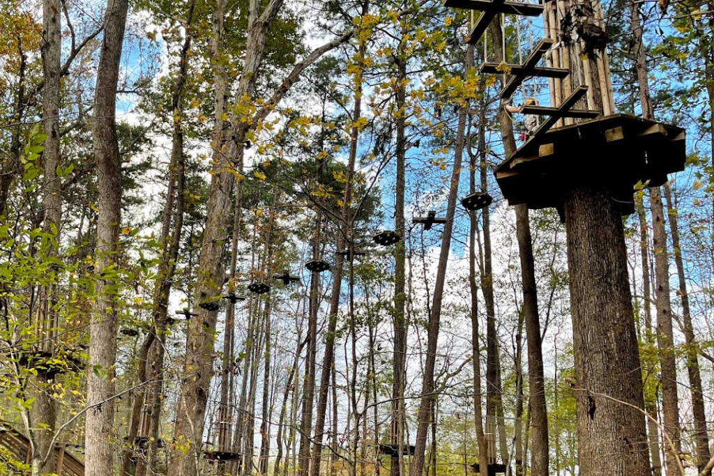 Best Adrenaline Activities In Raleigh, NC - Go Ape Zipline and Adventure Park