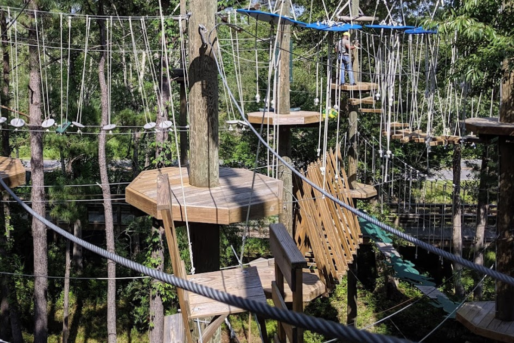 Best Adrenaline Activities In The Greater Wilmington Area - Ziplining at Shallotte River Swamp Park