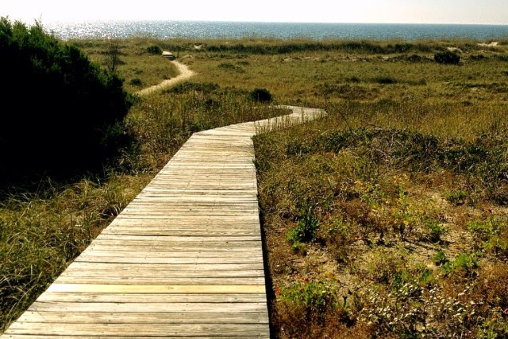 Best Hiking In The Brunswick Islands Area - Bald Head Island Conservancy