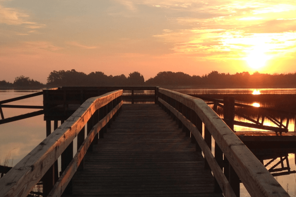 Smith Creek Park - Wilmington, NC