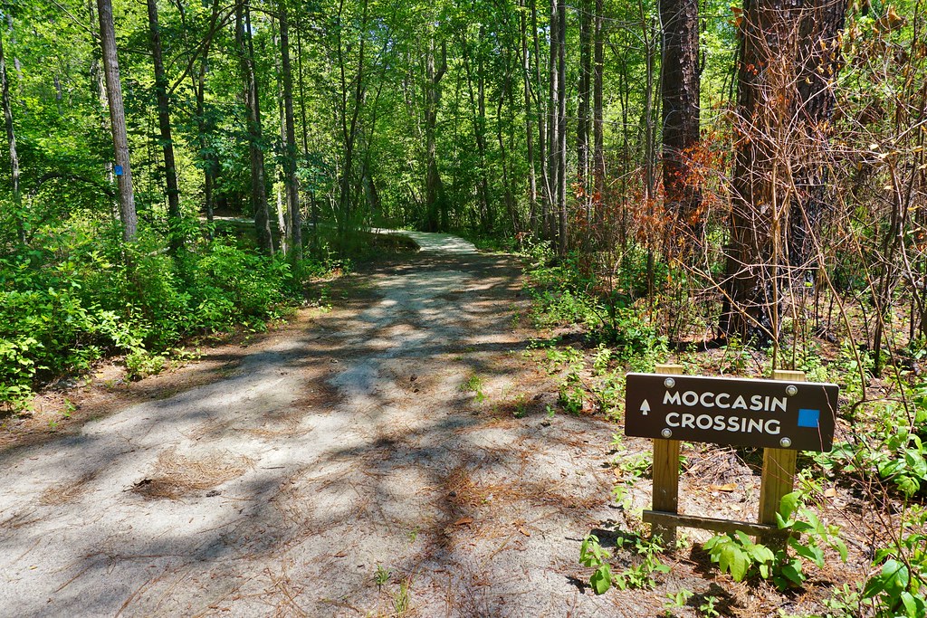 Best Hiking In The Pinehurst And Sandhills Area - Weymouth Woods-Sandhills Nature Preserve - Moccasin Trail